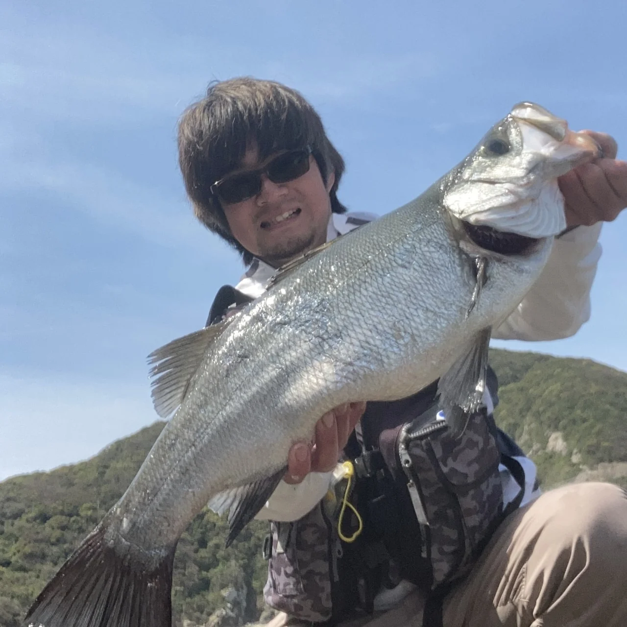 山下勇磨とヒラスズキ