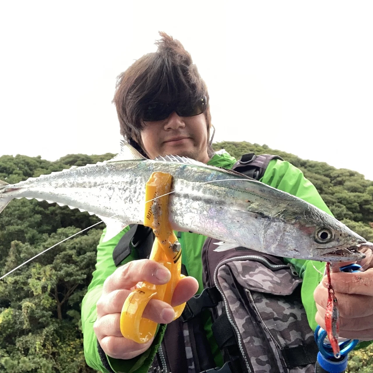 サワラとAPヤマシタ