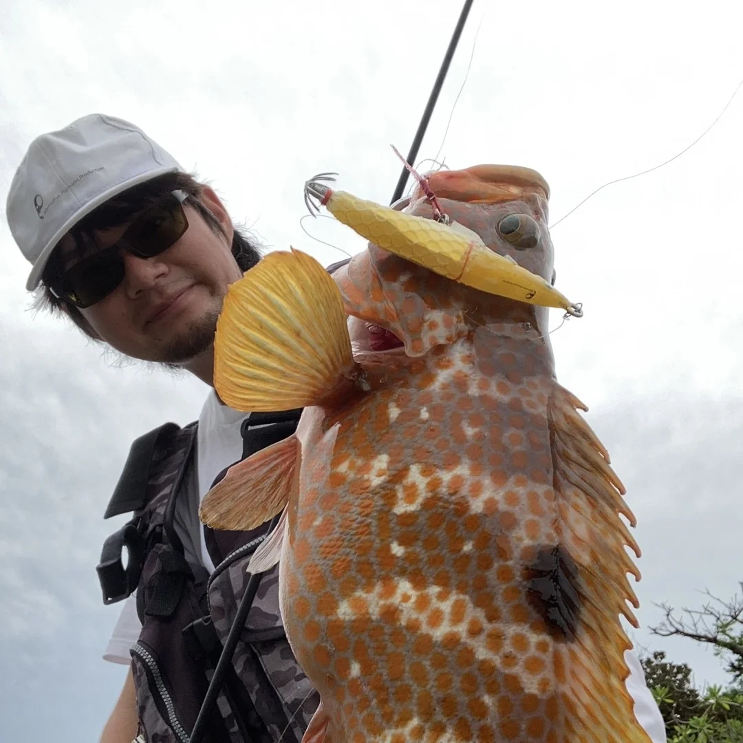 BUREIDROLL90とアコウ