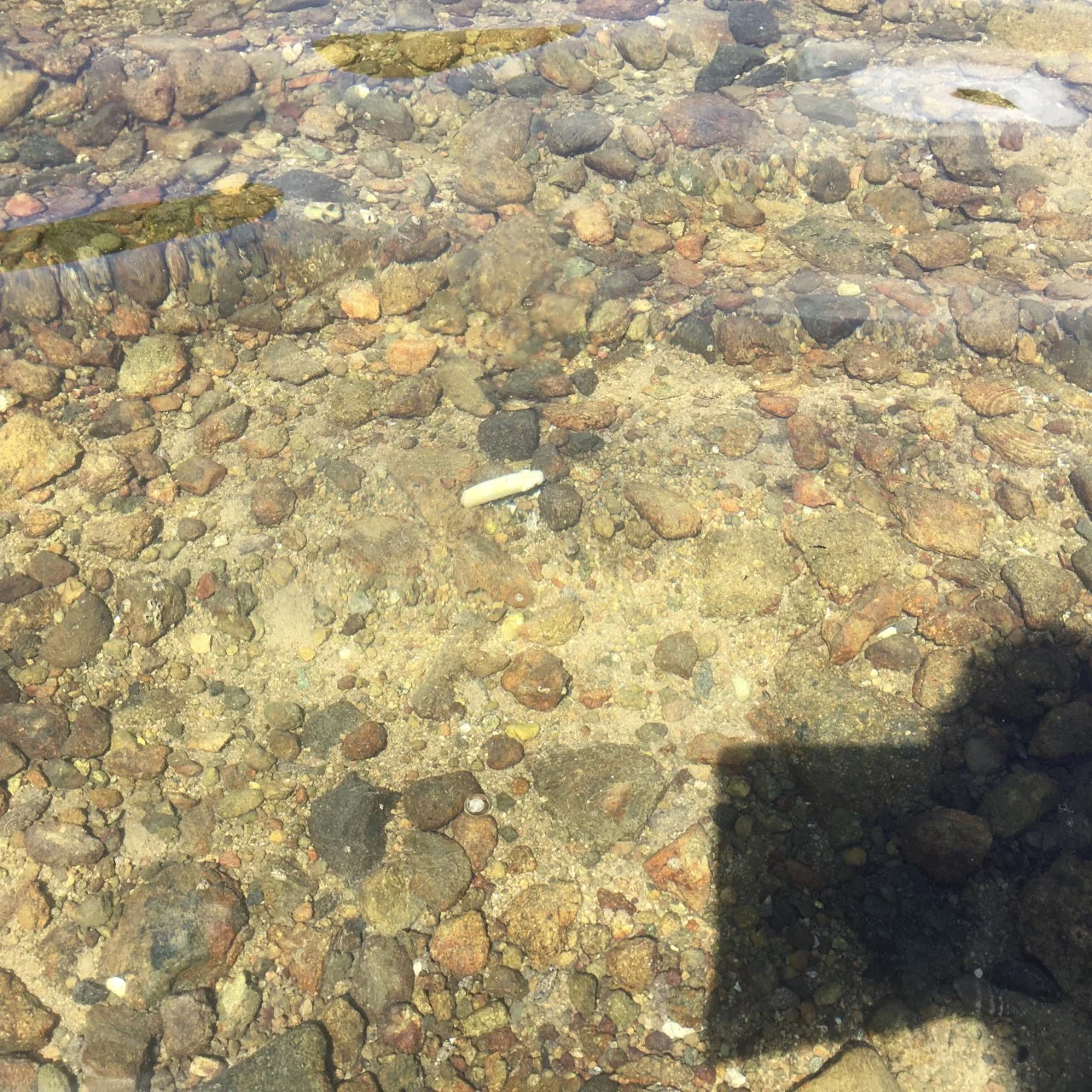 海の中のSLIDEWIPER55Sの画像