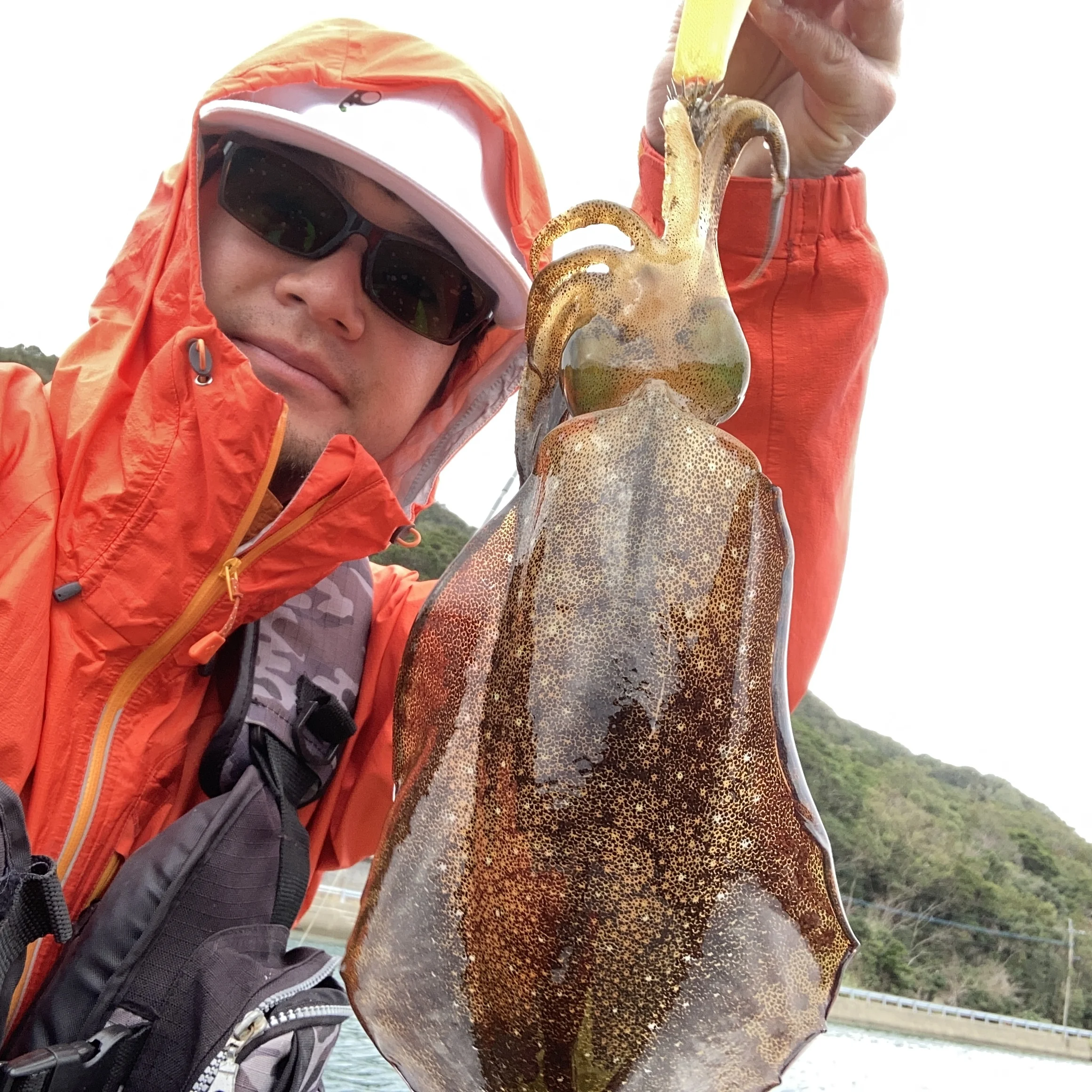 グライドロール90でアオリイカをキャッチ