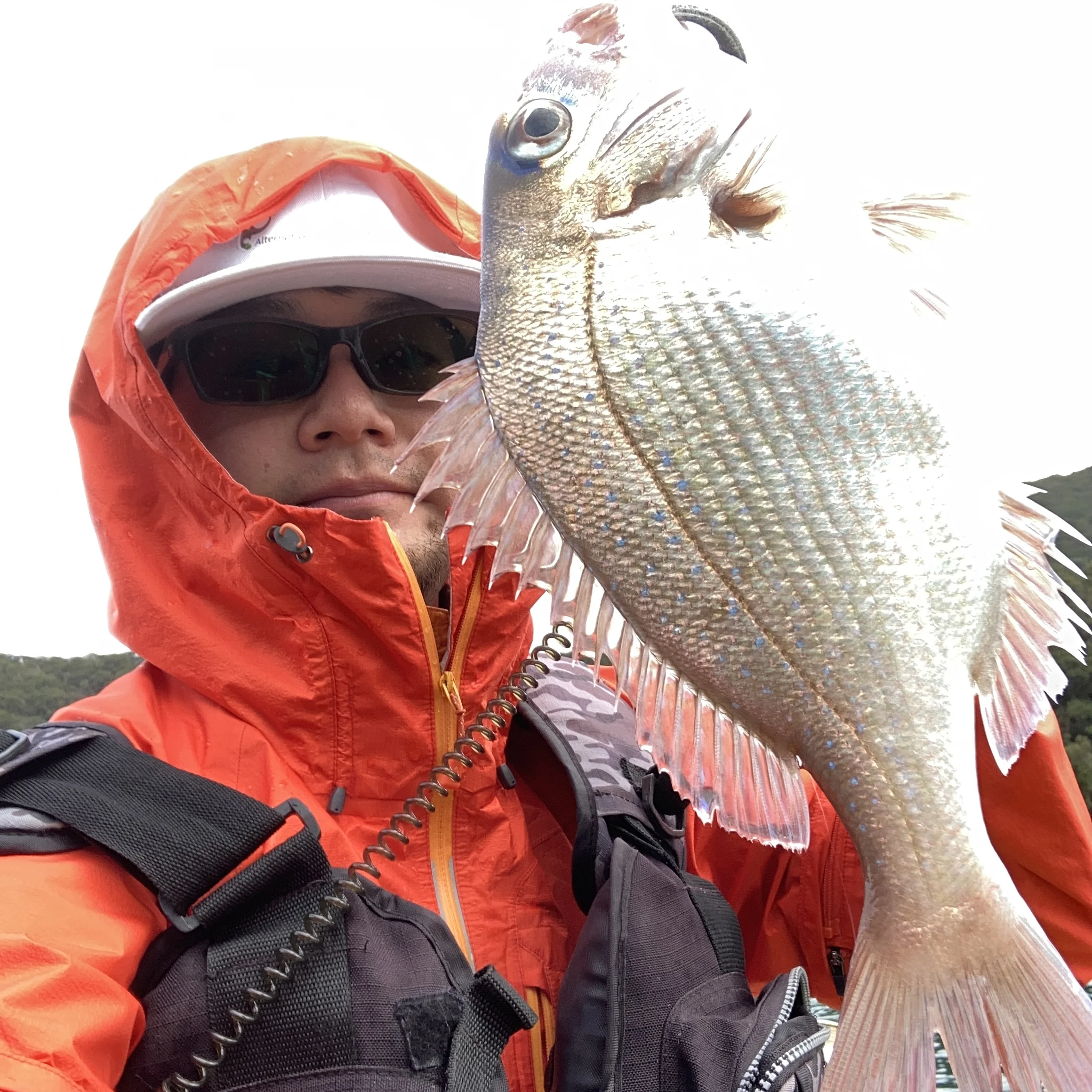 山下勇磨と真鯛