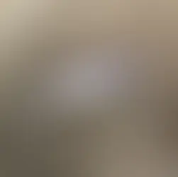 MUSTANG55S（マスタンプラグ５５S）