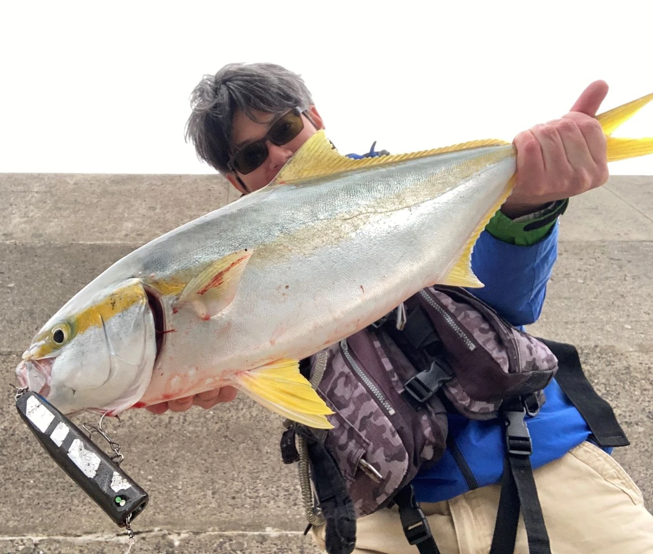 トップルーム120Fで釣れた青物