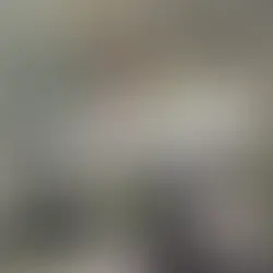 磯ヒラスズキ