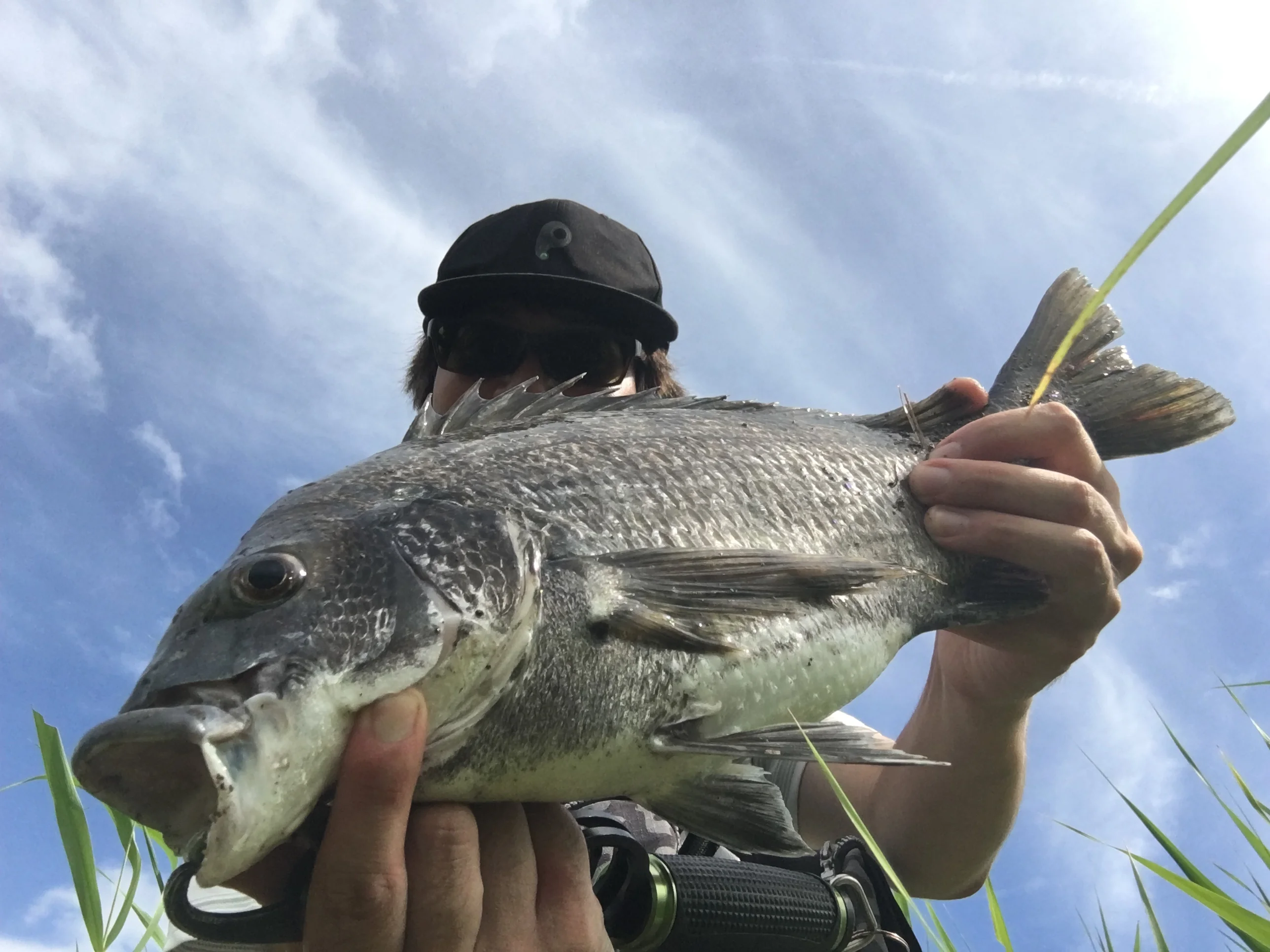 ヤマシタユウマとチヌと空