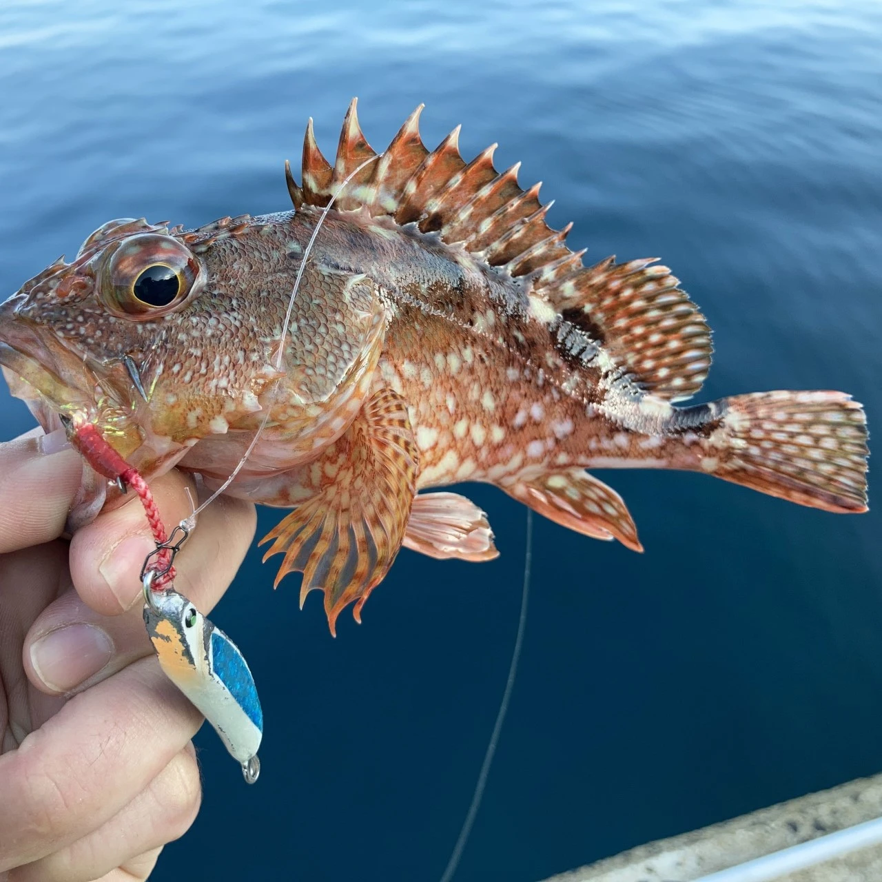 ボトムコンタクトでヒット