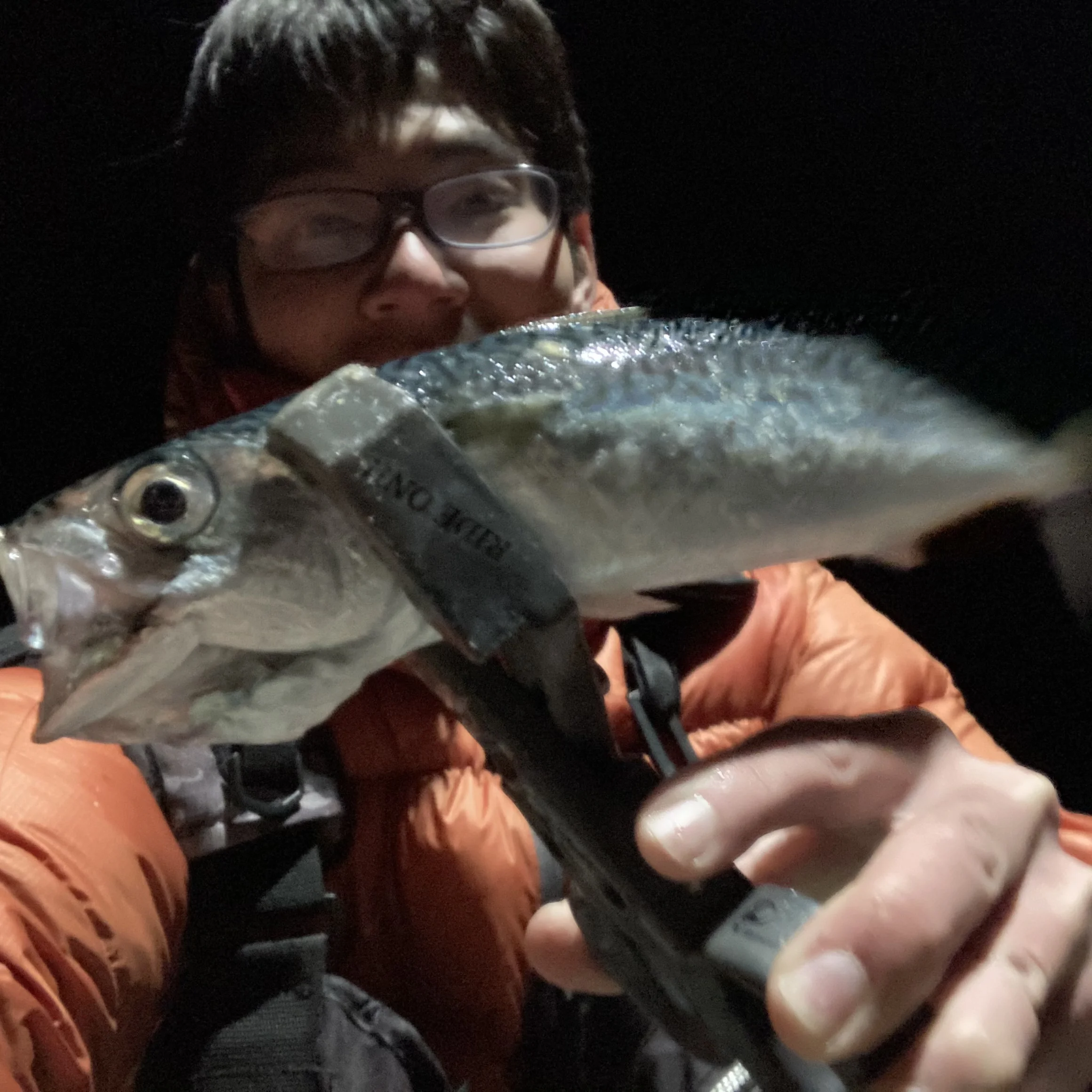 ライトゲームでサバ