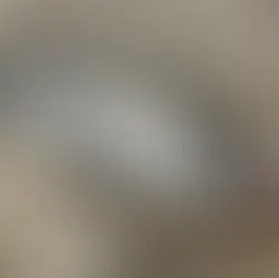 ヒラスズキとブレードジグ(LBS)