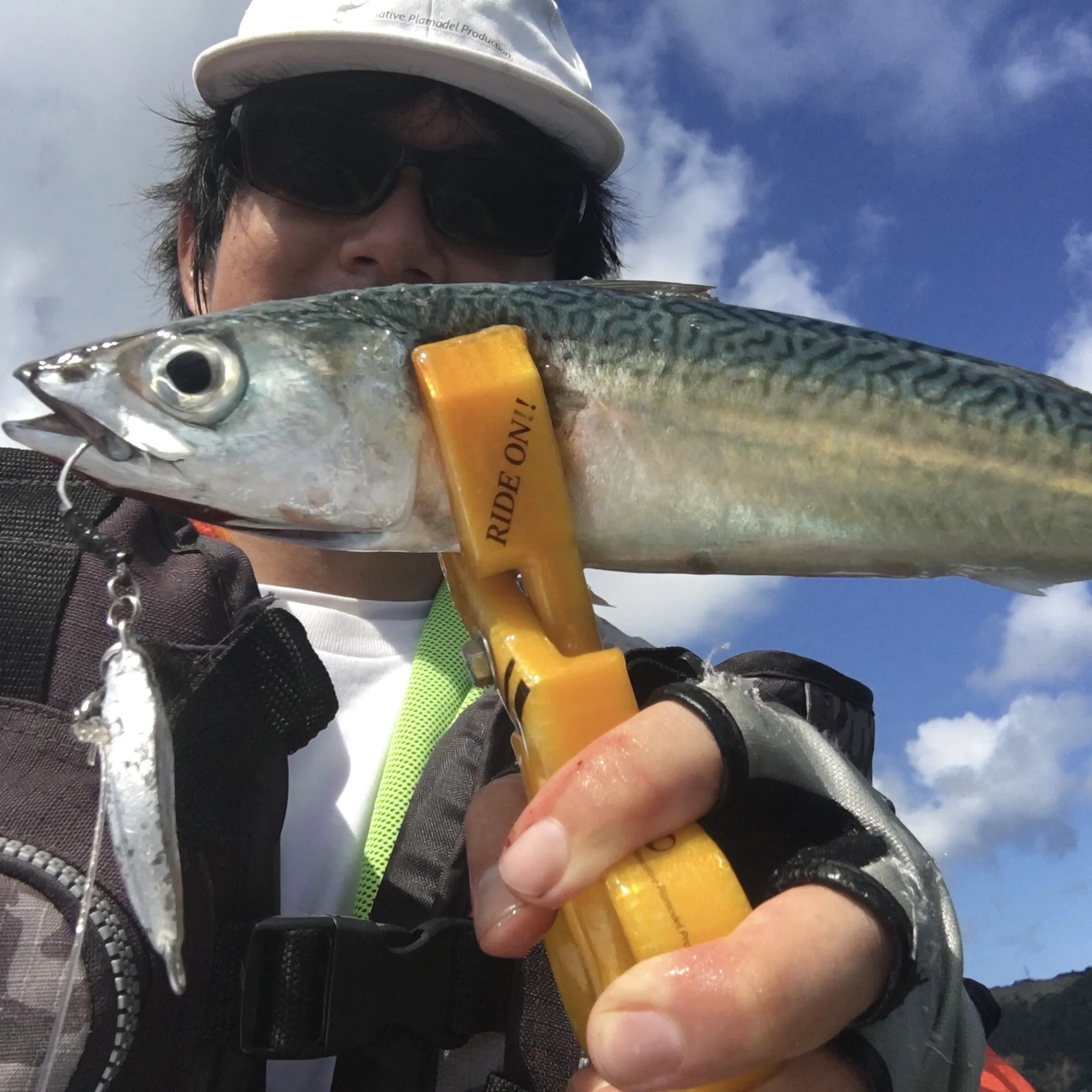 メタルトス２６gとサバの画像