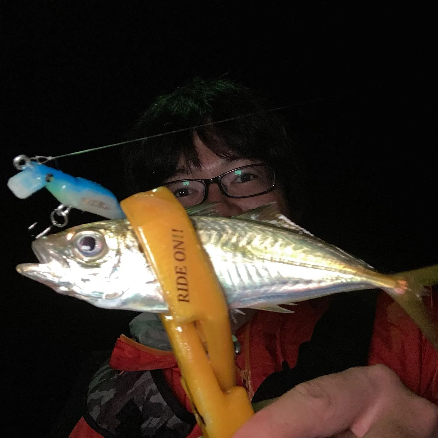 MUSTANPLUG55Sで釣れたアジ