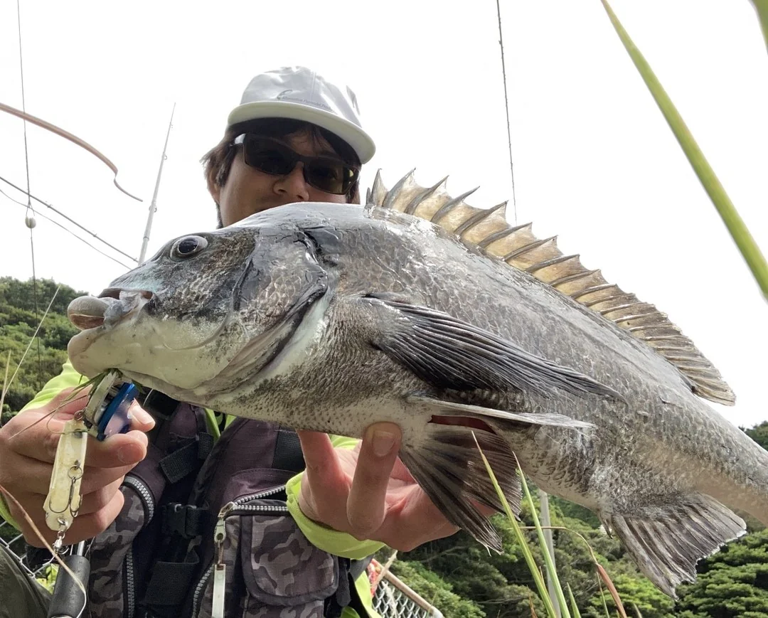 クロダイとヤマシタユウマ