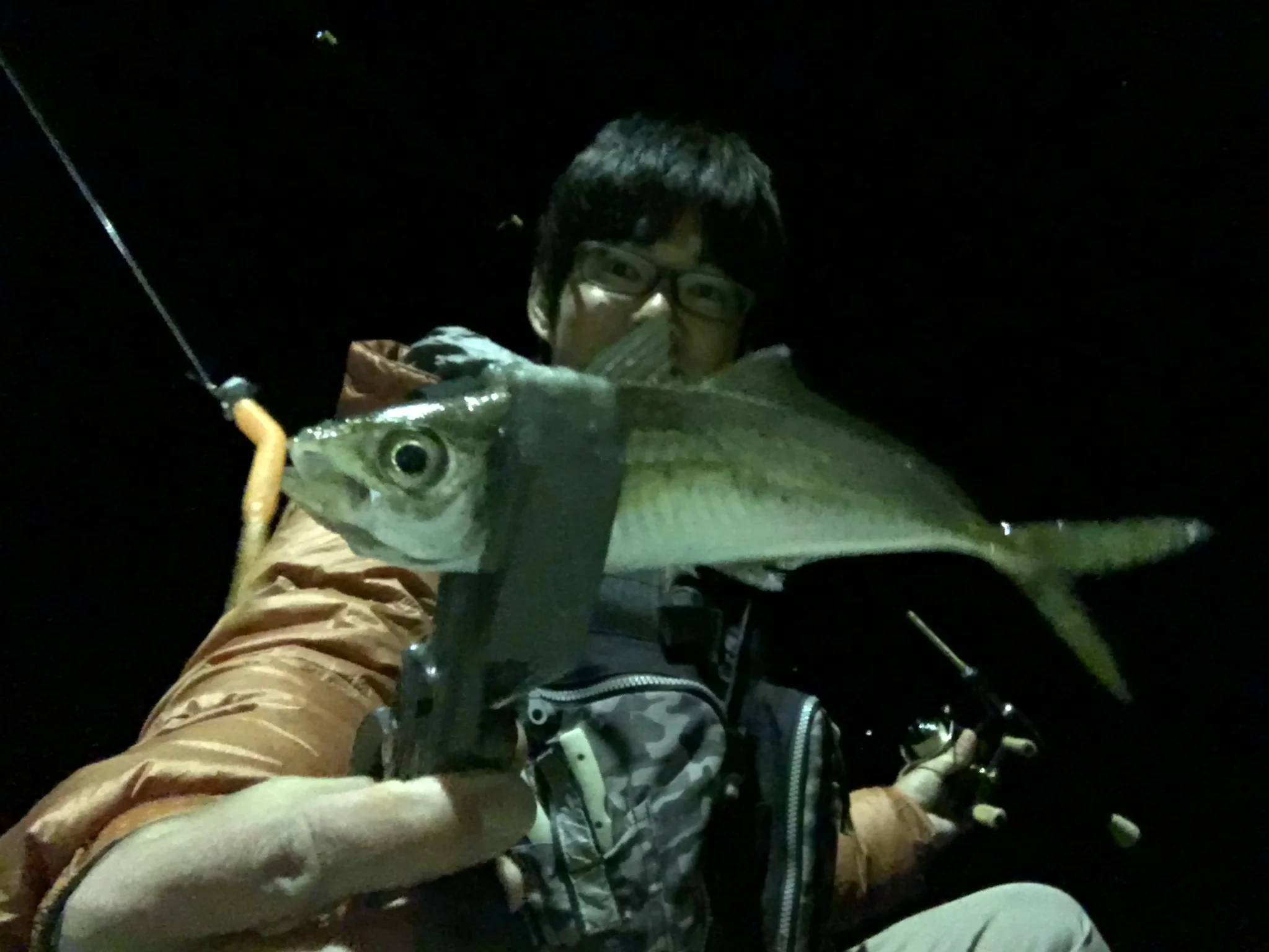 ライトタックルでアジの釣果画像