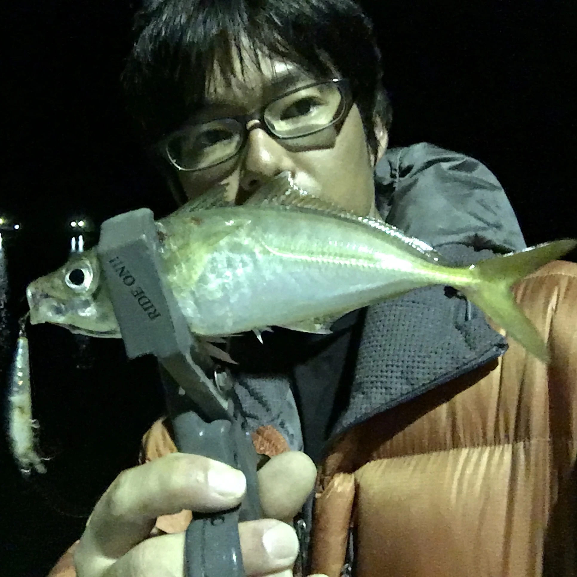 ミノーでアジング