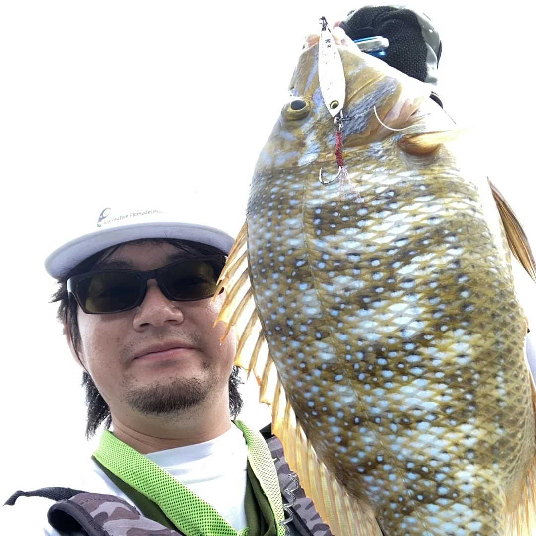 メタルジグで釣れたタマン