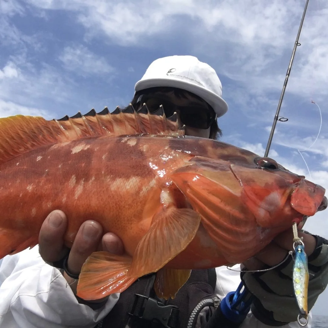 アカハタと山下勇磨