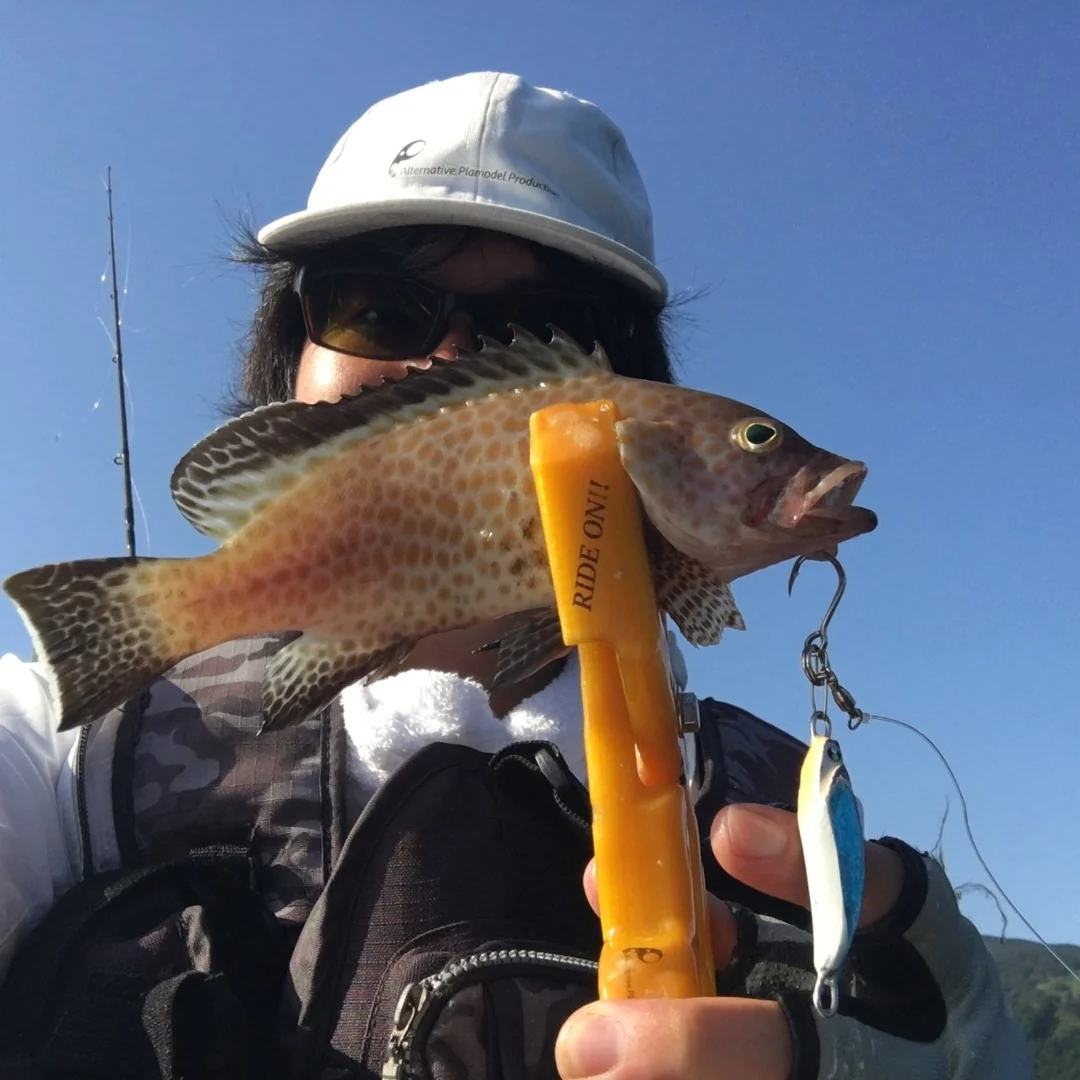 メタルトス26gで釣れたハタ