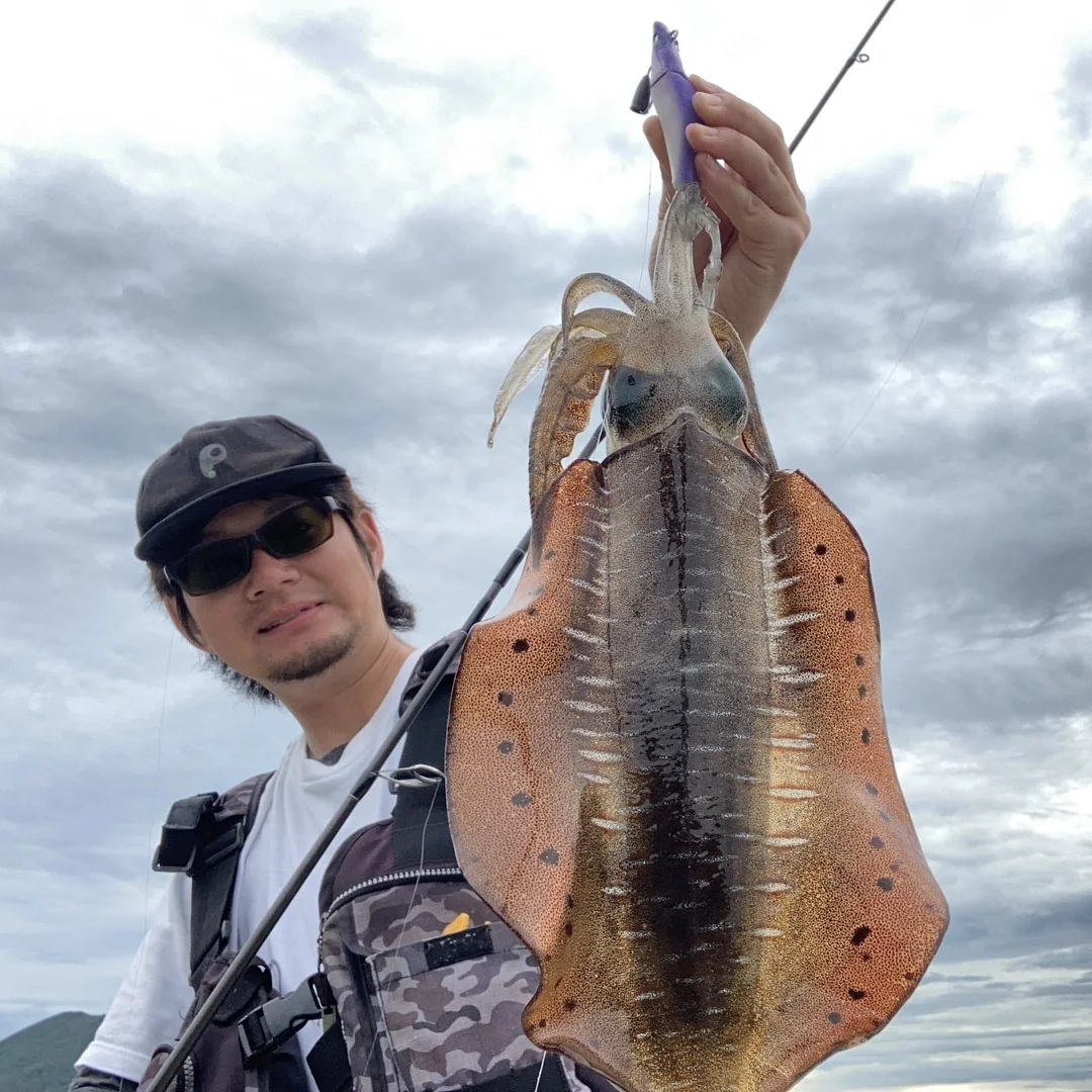 GURAIDROLL100とアオリイカ