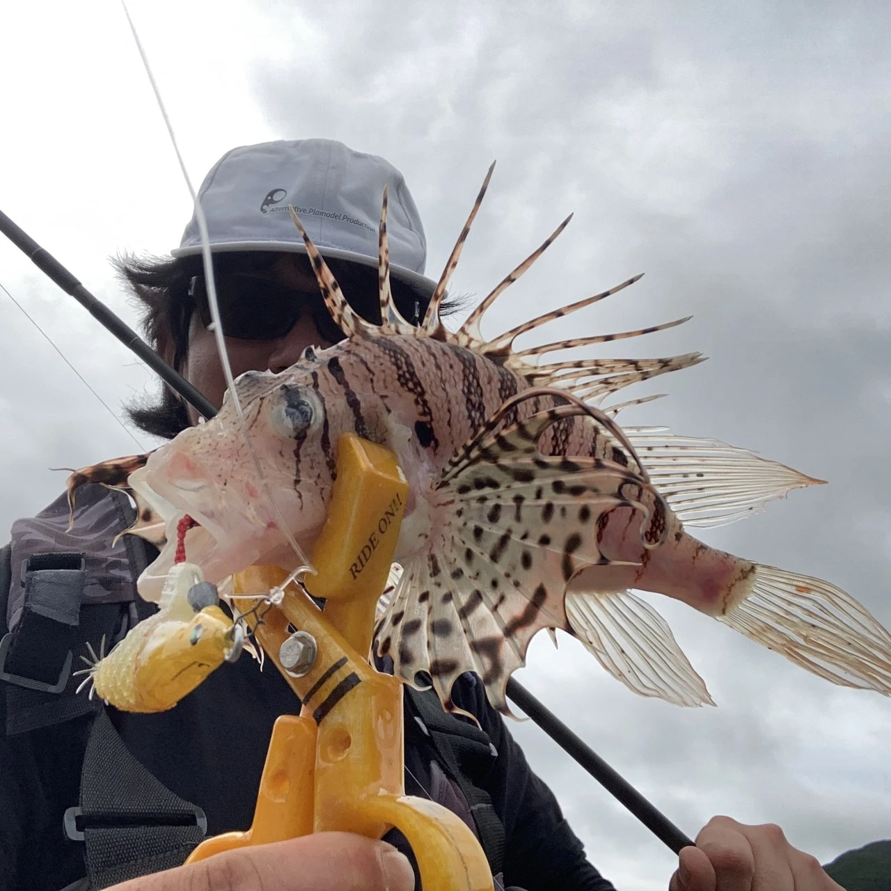 BUREIDROLL90で魚釣りの画像