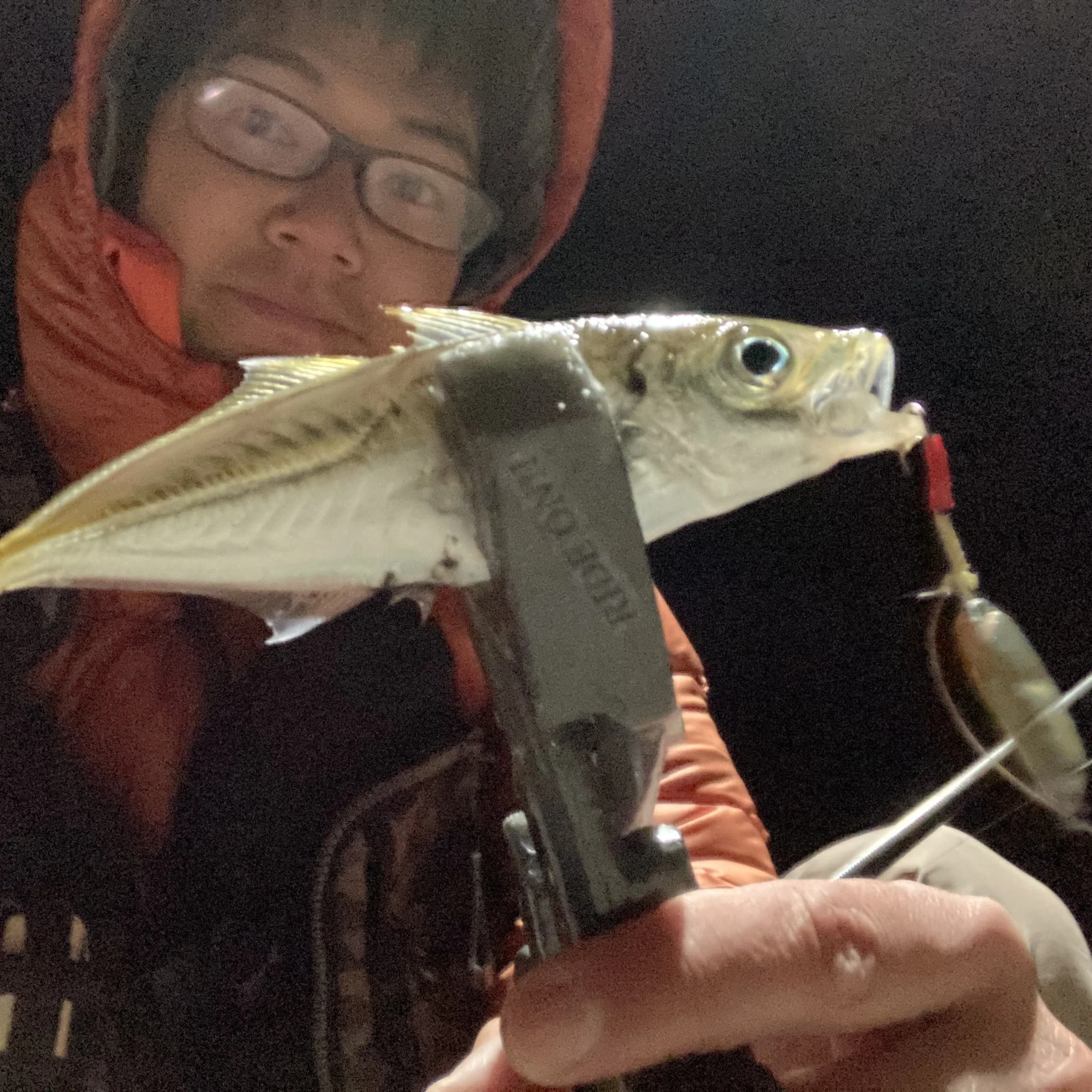 ライトゲームでアジング