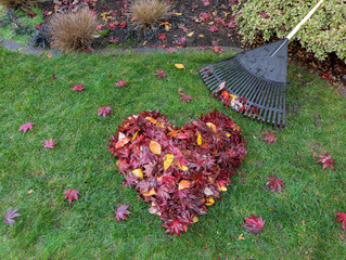 ‘Leave’ Raking Back Pain Behind With These 7 Tips