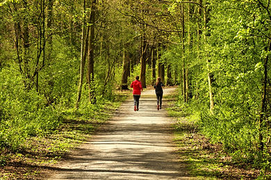 jogging-forest-trail.jpeg
