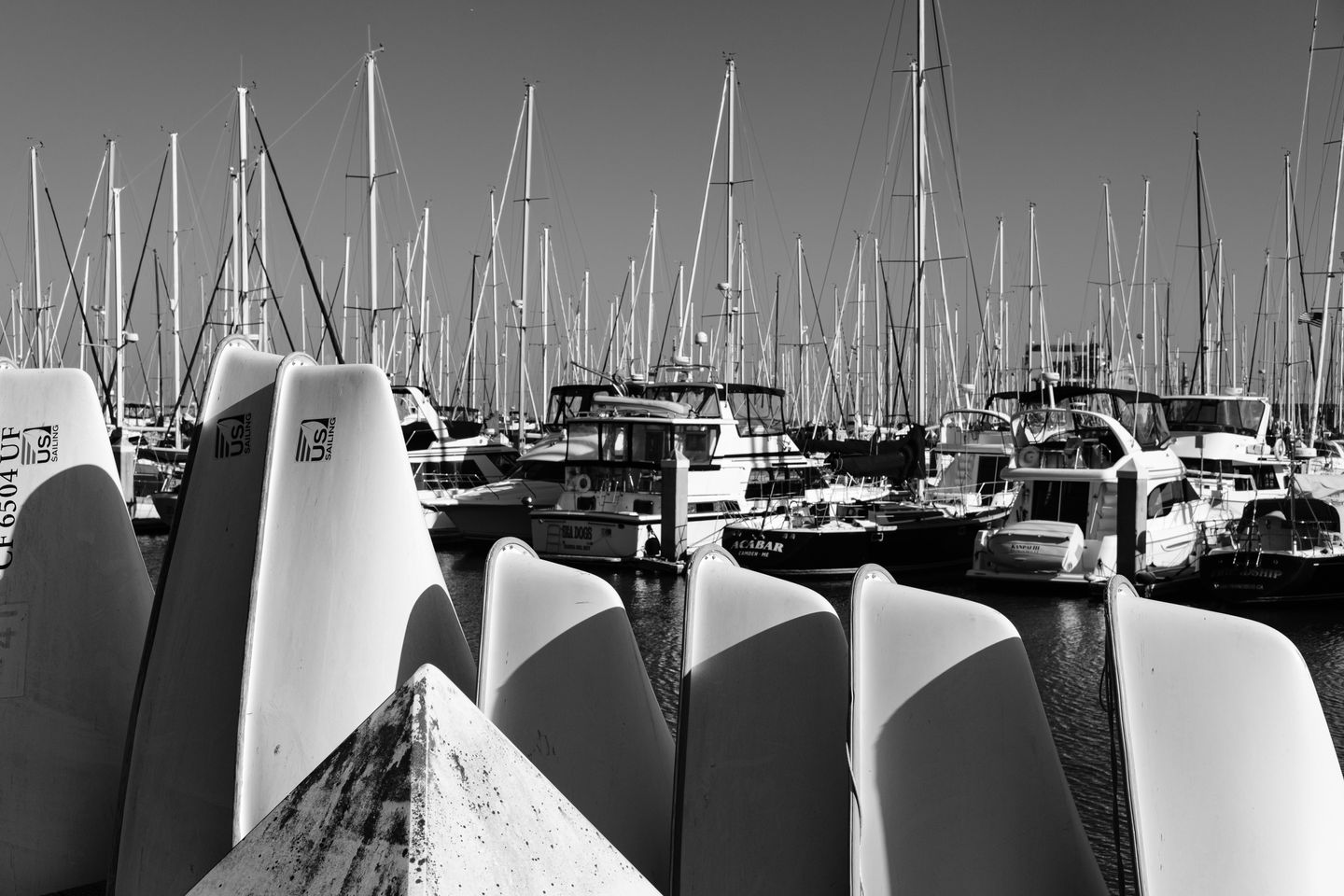 Nico Henderson, San Francisco Photographer, Nico Hend Photography, Nicole Henderson, Nico Hend, All Rights Reserved