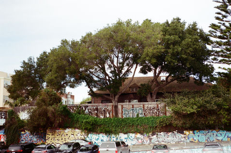 Nico Henderson, San Francisco Photographer, Nico Hend Photography, Nicole Henderson, Nico Hend, All Rights Reserved