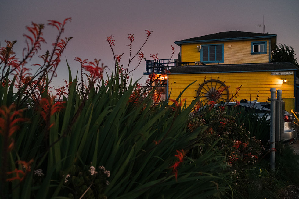 Yellow boat club building at dusk with red crocosmia flowers in the foreground, San Francisco