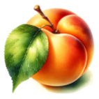 Apricot Balsamic 375