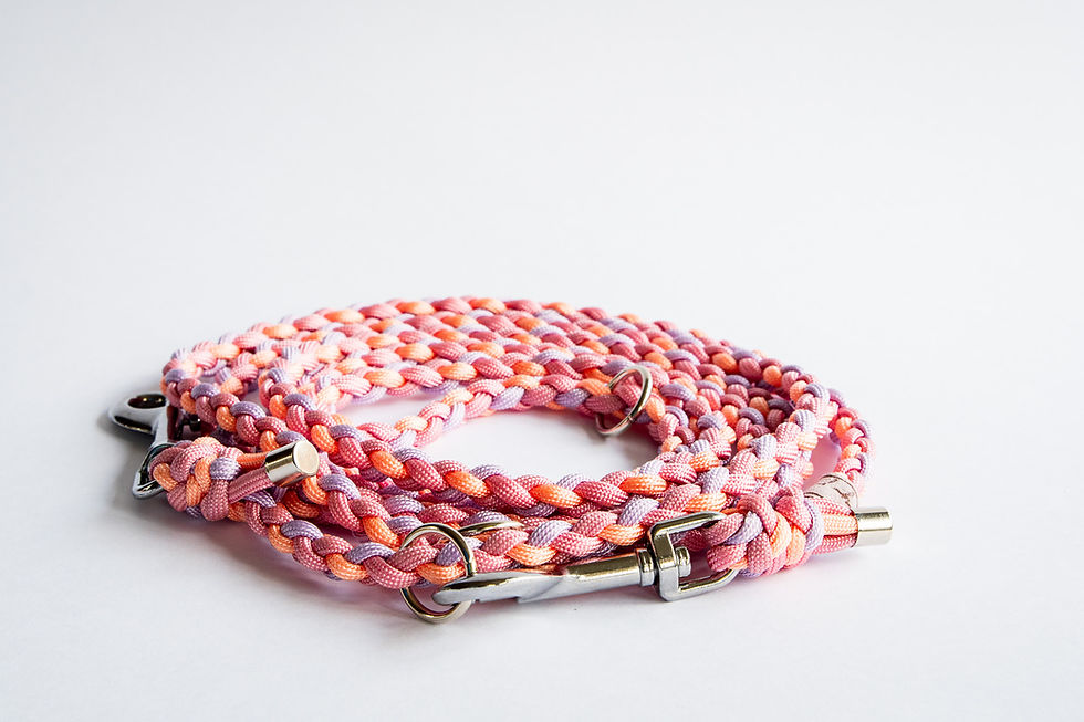 Miniaturbild: Leine Nala