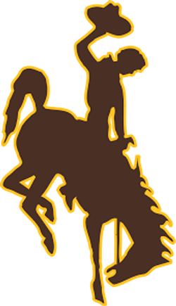 WYO