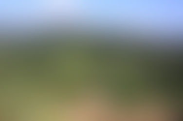 Morning hike to the little Adam's peak | Sri Lanka