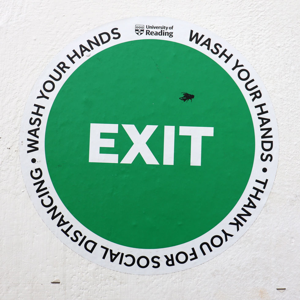 Fly on the wall art on exit sign