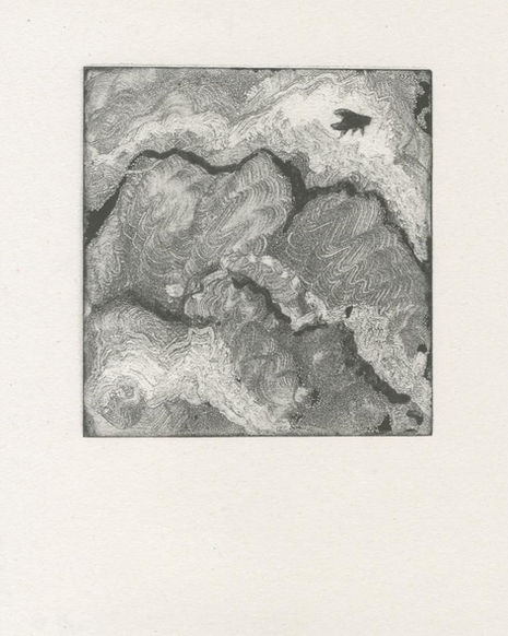 abstract black swirling fly risograph print on paper