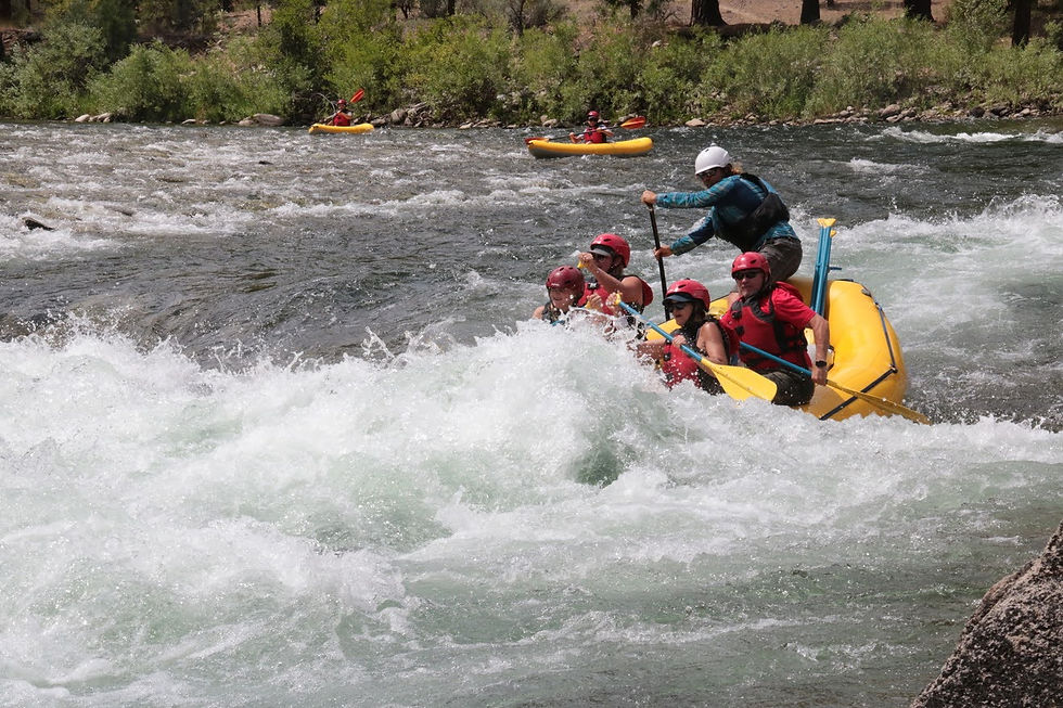 middle fork salmon river trips