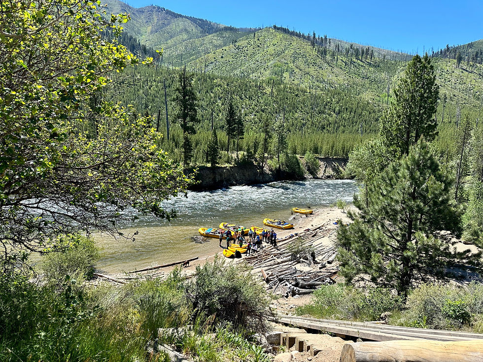 middle fork salmon river trips