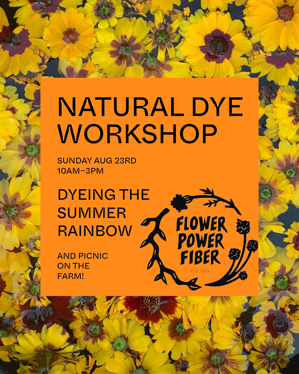 Dyeing the Summer Rainbow