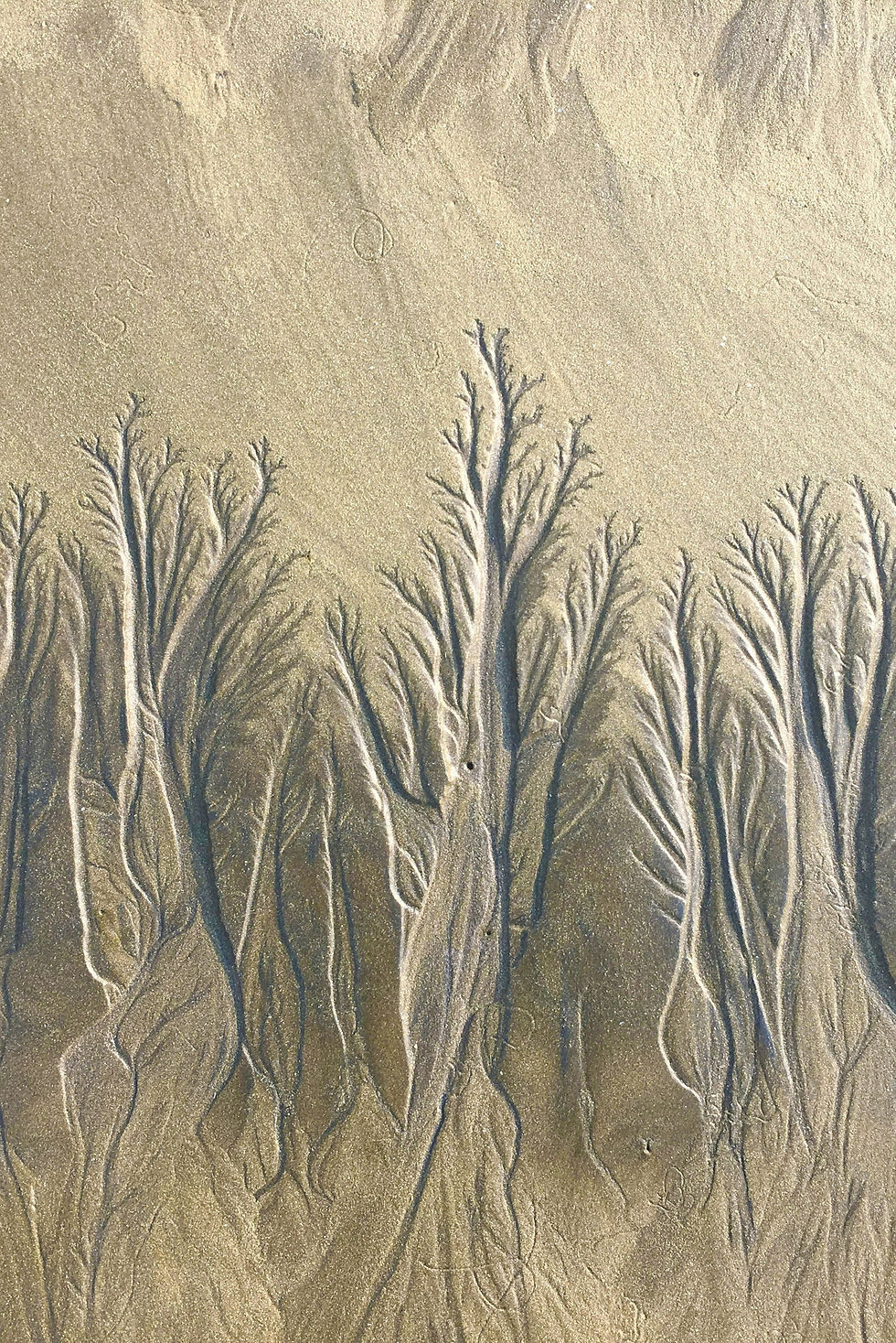 2-sand-draw.jpg
