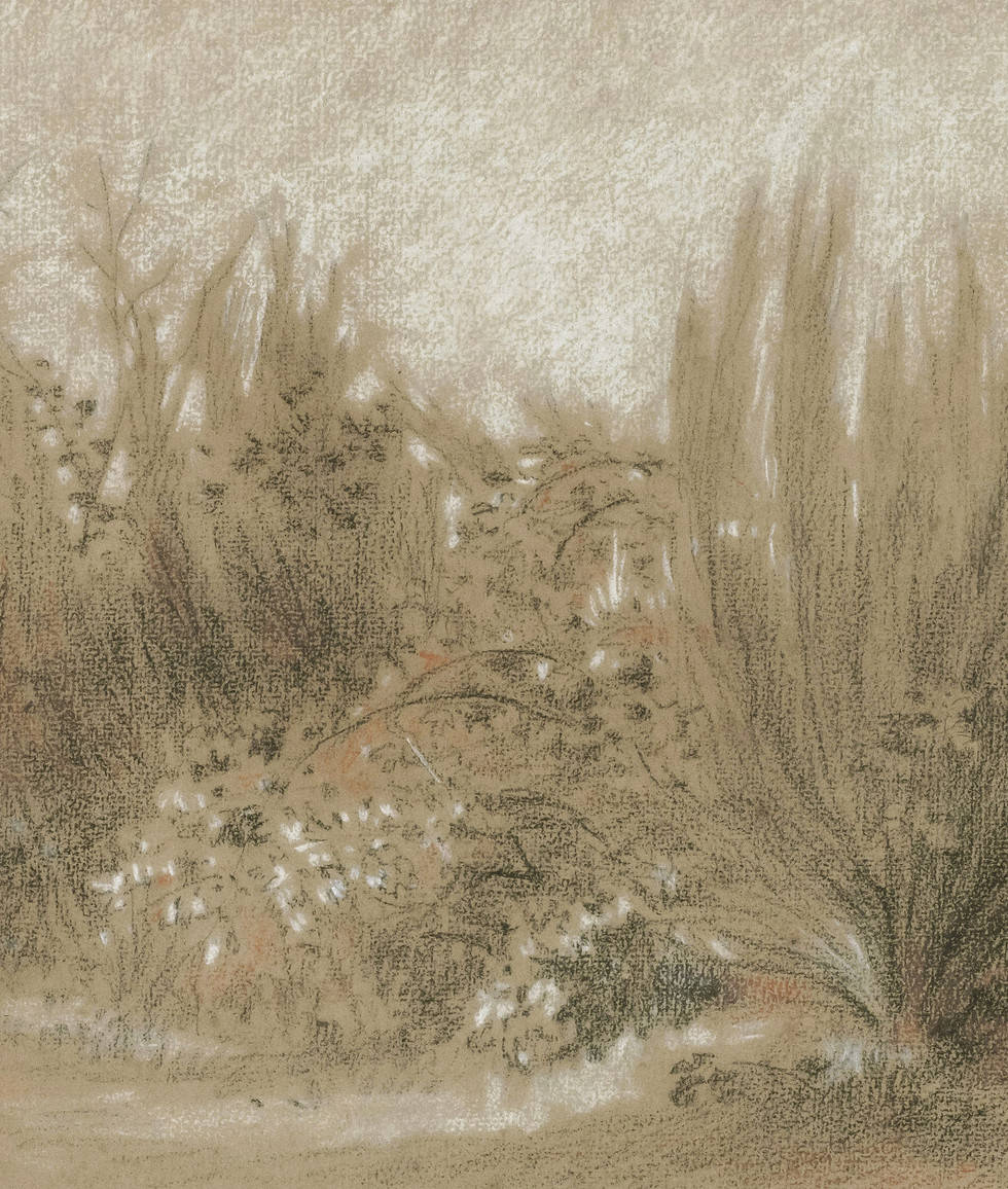4-sand-draw.jpg