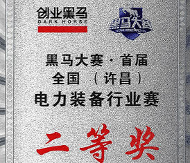 National Power Industry Award
