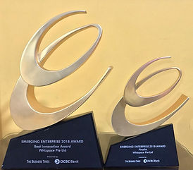 Best Innovaton Award bestowed by OCBC Bank and Business Times during the Emerging Enterprise Award 2018