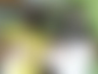 Inovação na economia de Campos Sales com a abertura da 1a. Loja de Produtos Naturais do município