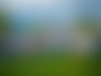 50 anos da Grendene e quem ganha é o Cariri com mais uma fábrica