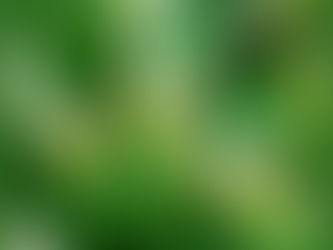 Pardal Sorvetes lança picolé de refrigerante de Caju em parceria com São Geraldo para Imprensa local