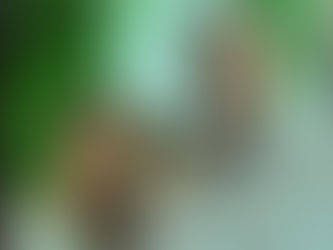 Parabéns para o Dr. Gualter Matos C. de Alencar. Cirurgião Geral. Médico Cooperado Unimed Cariri