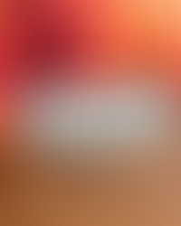 Sculpted  Flower Hair Clip