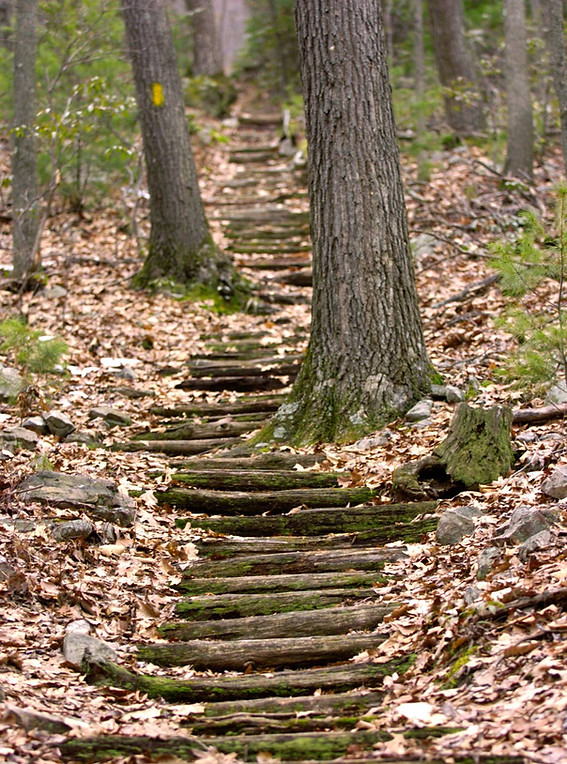 Steps2.source.prod_affiliate.42.jpg