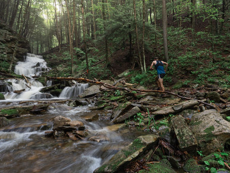 Worlds End Ultramarathon and Loyalsock: Before the Race, There Was the Place