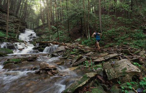Worlds End Ultramarathon and Loyalsock: Before the Race, There Was the Place